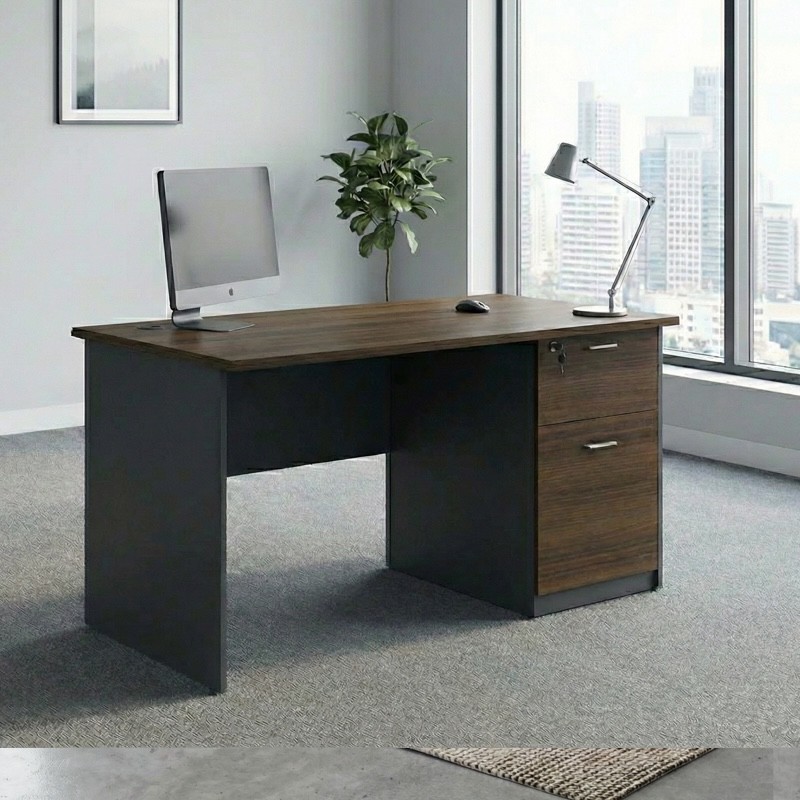  Model ECO-D028-120 - Office Table 